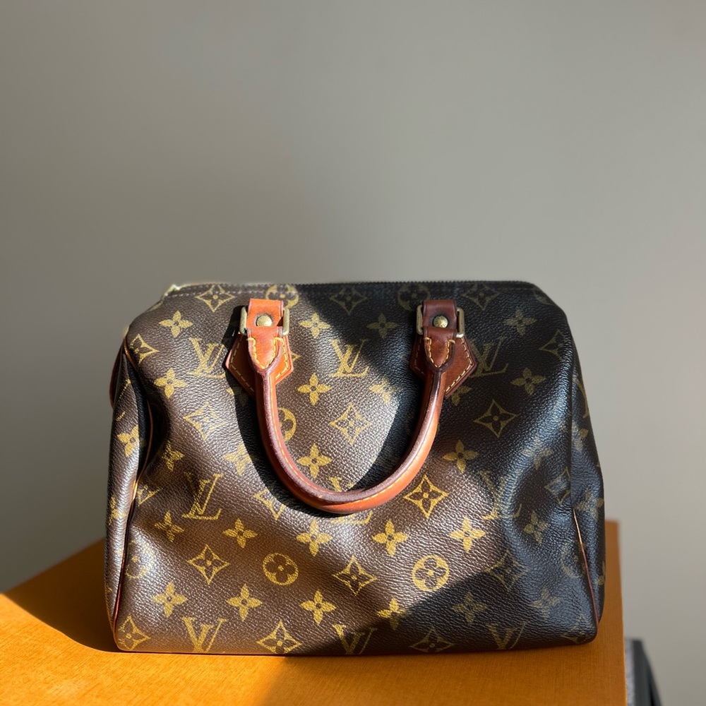 Louis Vuitton Monogram Handbag